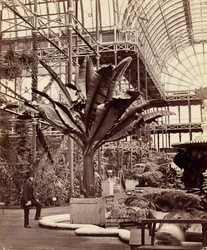 Tropical Plants in the Egyptian Room, Crystal Palace, Sydenham, 1854